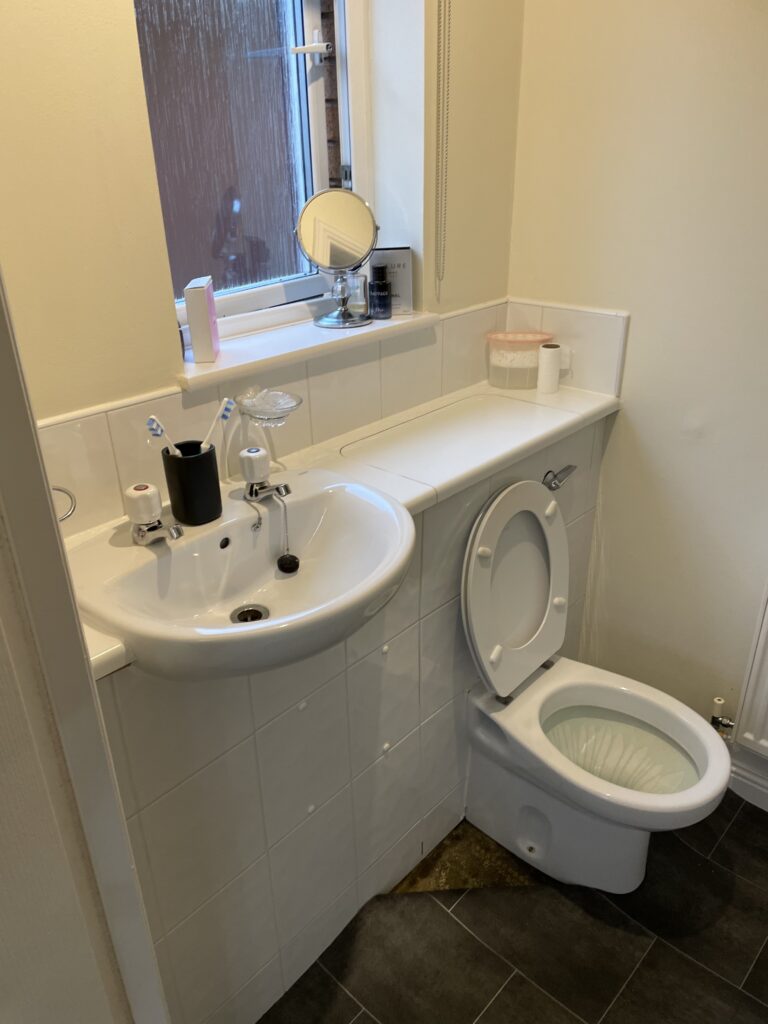 Tullibody Ensuite Transformation