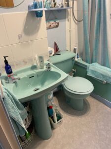 Broomridge Bathroom Transformation